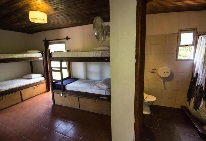スタンダードトリプルルーム, Viajero La Pedrera Hostel