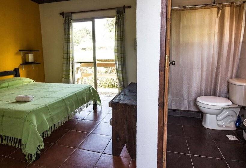 스탠다드 싱글 룸, Viajero La Pedrera Hostel