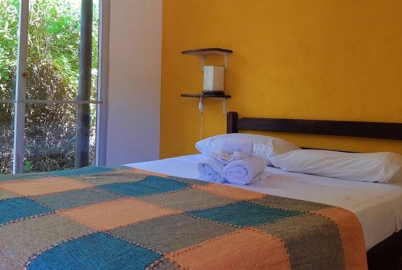 스탠다드 싱글 룸, Viajero La Pedrera Hostel
