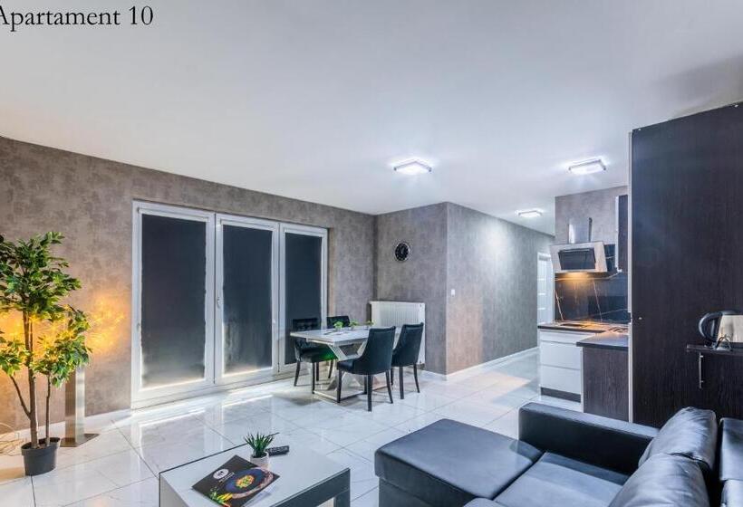 شقة ديلوكس غرفة واحدة, Apartamenty Katowice By Lantier   Bytom   Chorzów
