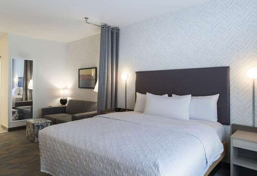 استودیو استاندارد با تخت کینگ, Homewood Suites by Hilton Chicago Downtown / Magnificent Mile