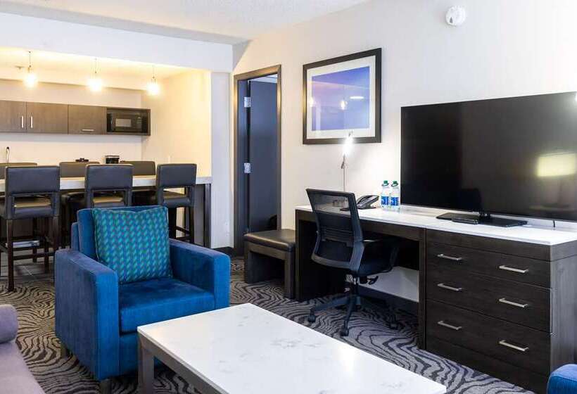 سوئیت با تخت بزرگ, Homewood Suites by Hilton Chicago Downtown / Magnificent Mile