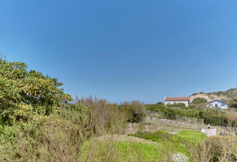 带城市景观的标准间, Villa L'arche