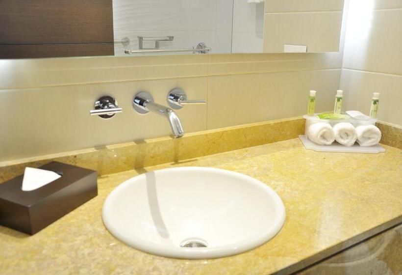 스탠다드 룸 킹사이즈 침대, Holiday Inn Express & Suites Bogota Zona Financiera, An Ihg