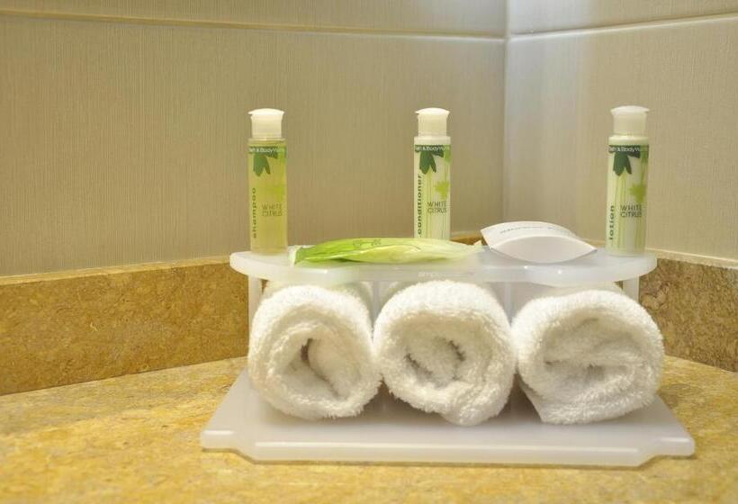 스위트 킹사이즈 침대, Holiday Inn Express & Suites Bogota Zona Financiera, An Ihg