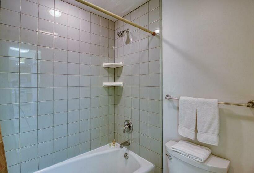 Студия Стандарт, 1 Bath Studio Apartment In Snowmass Village