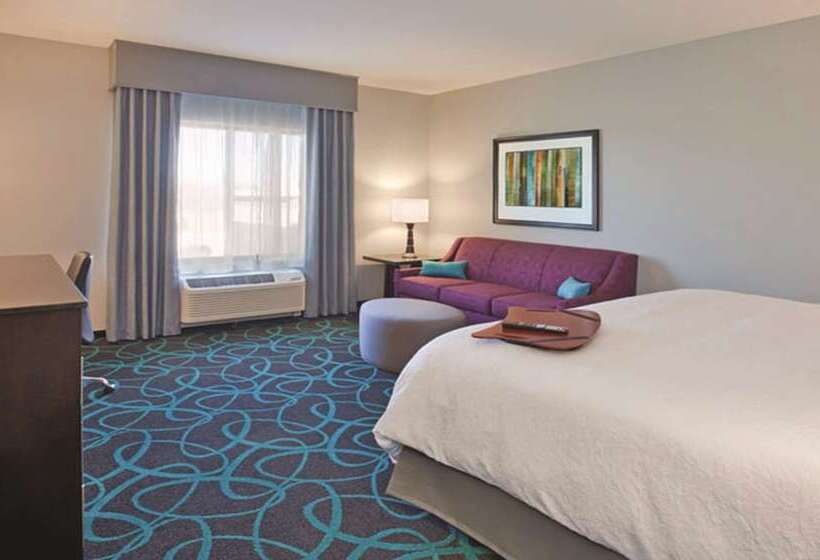 스탠다드 룸 킹사이즈 침대, Hampton Inn Kearney