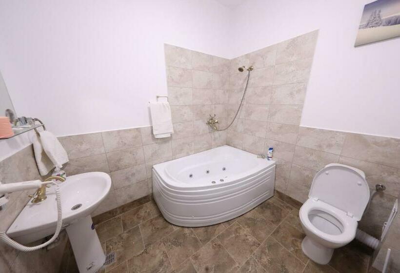 اتاق استاندارد, Casa Cojocaru