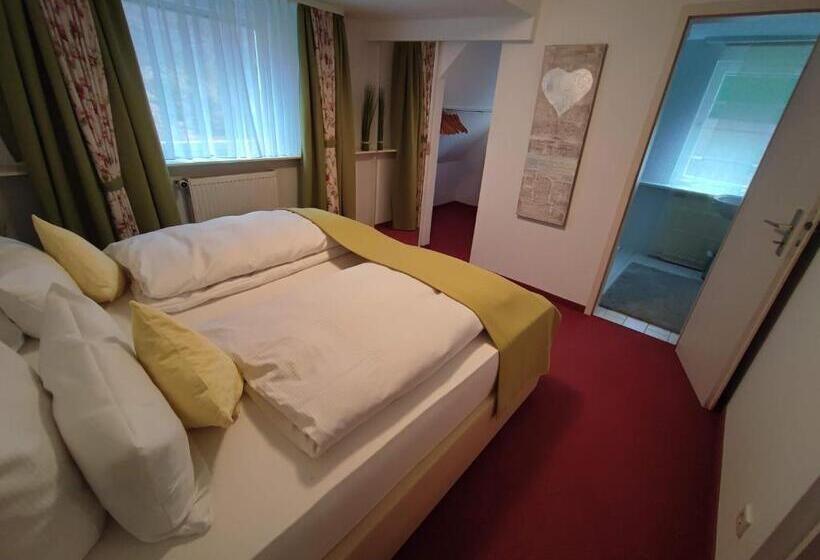 Апартаменты 1 Спальня, Room In Guest Room   Pension Forelle   Doppelzimmer