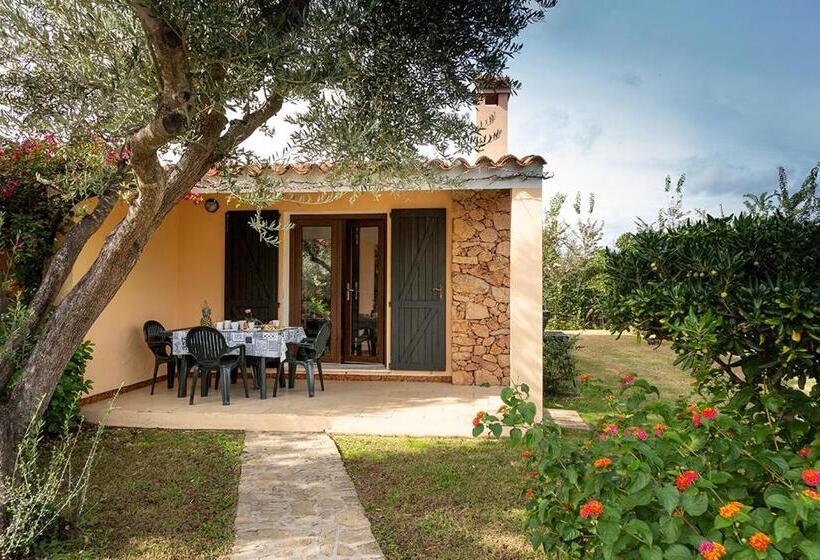 آپارتمان سوپریور 1 خوابه, Residence Il Melograno