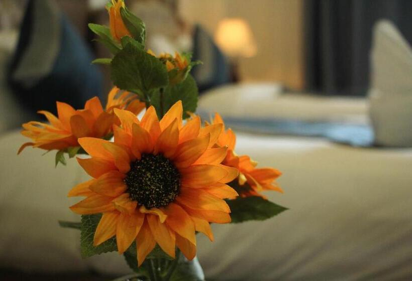 Номер Стандарт Вид на Сад, Confetti Garden Resort