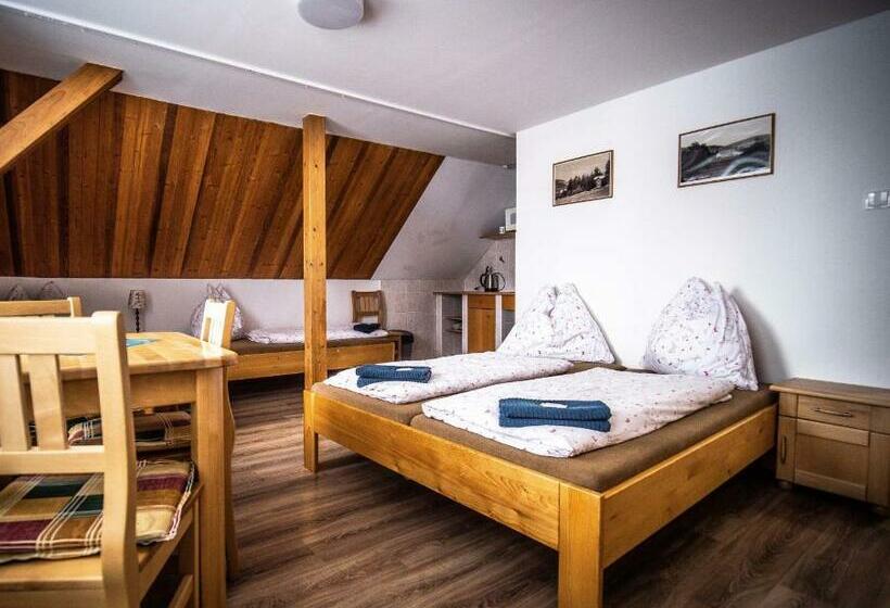 Четырехместный Номер Стандарт, Penzion Samoty