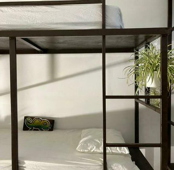 共用房间的床, Rincon Dorms
