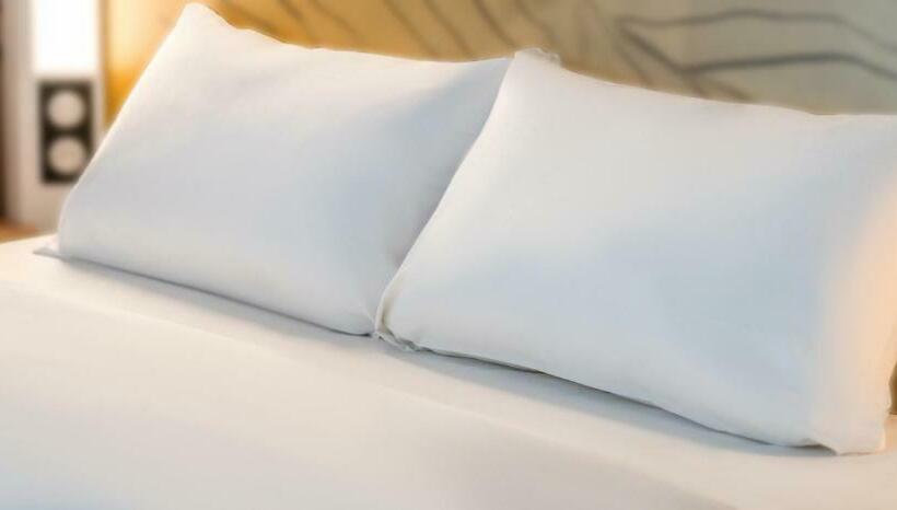 اتاق استاندارد, B&b Hotel Geneva Airport