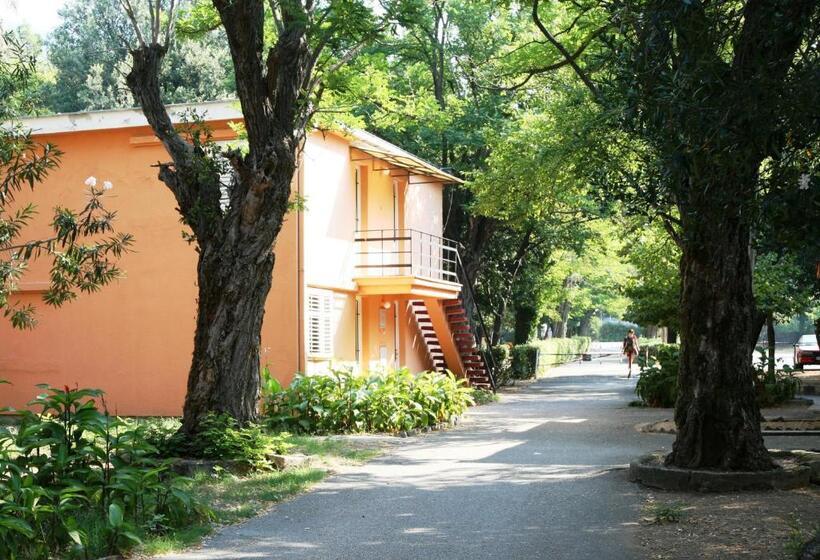 اتاق ساده سه‌ نفره, Kamelija