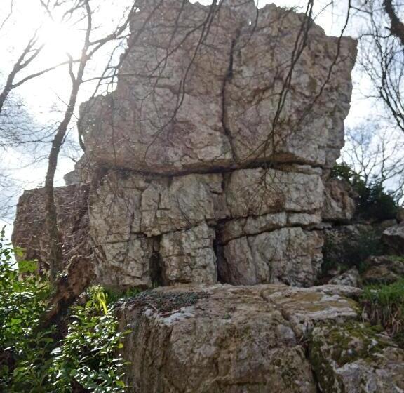 Шале 1 Спальня, Le Rocher Du Samoyède