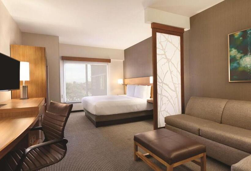 اتاق استاندارد با تخت بزرگ, Hyatt Place At Anaheim Resort/convention Center