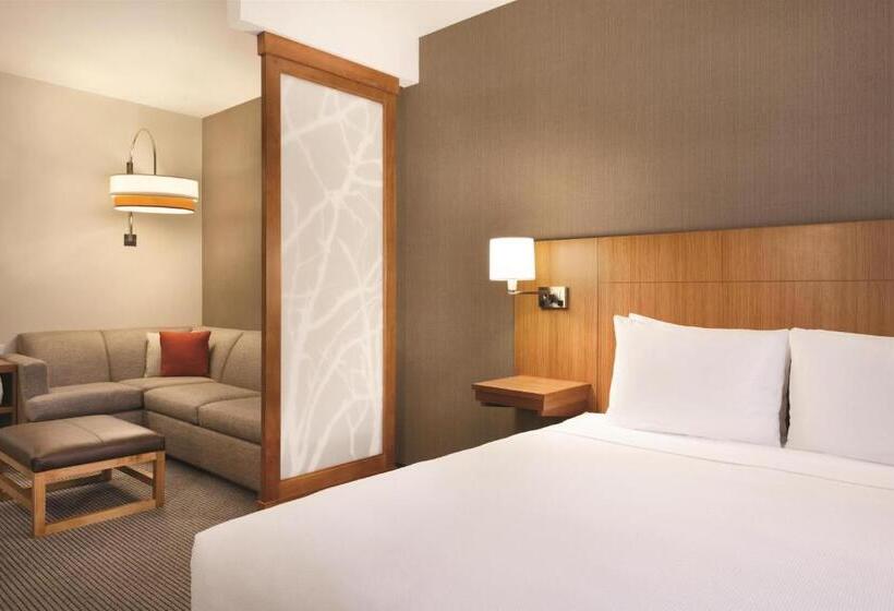اتاق استاندارد با تخت بزرگ, Hyatt Place At Anaheim Resort/convention Center