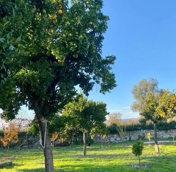 اتاق استاندارد با سرویس بهداشتی مشترک, Quinta De Areias