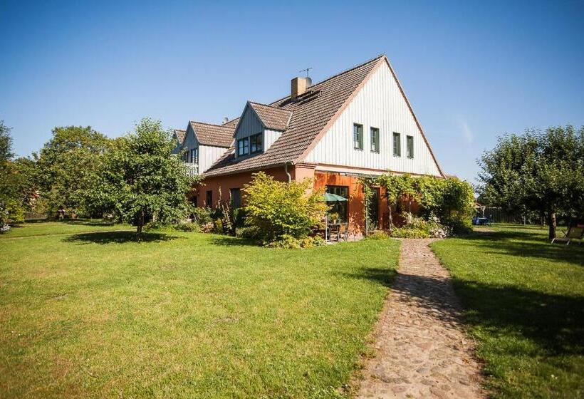 Апартаменты 1 Спальня Нижний Этаж, Das Gutshaus Solzow Mecklenburgische Seenplatte Müritz
