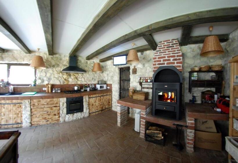 Дом 1 Спальня, Pensiunea Casa Dacilor