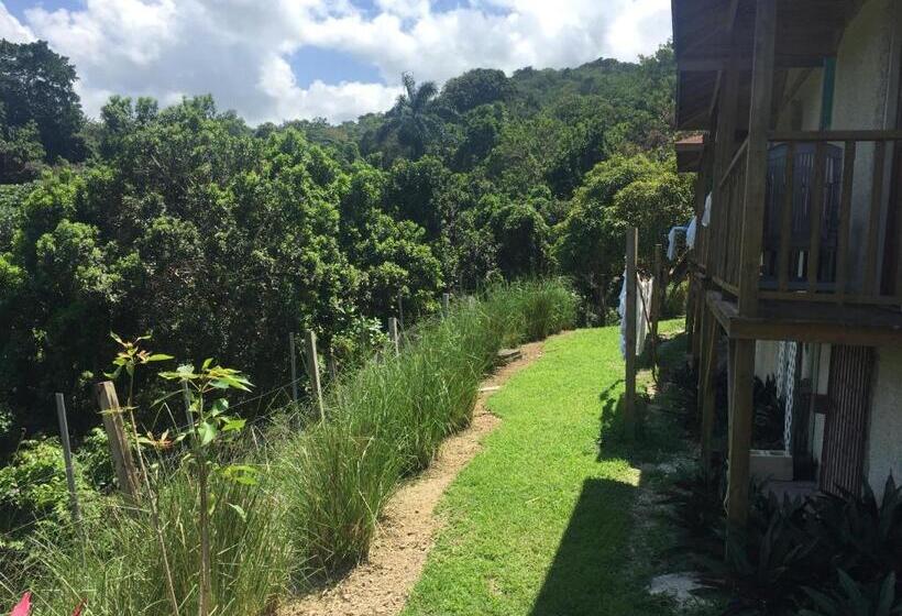 اتاق استاندارد با بالکن, Teresinajamaica