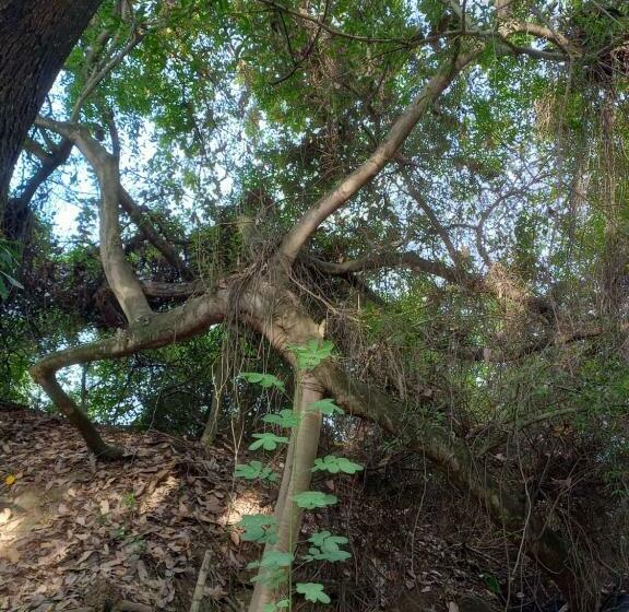 전용 풀장 스위트, Finca Ecoturistica Los Jagueyes