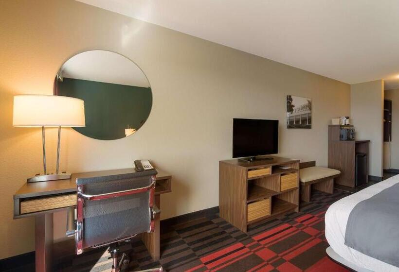 适合残疾人士使用的带超级大床的标准间, Best Western Roosevelt Place
