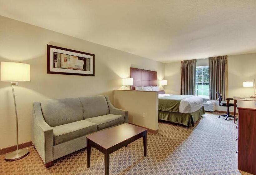 Студио Стандарт Кровать Кинг, Cobblestone Hotel & Suites   Waynesboro