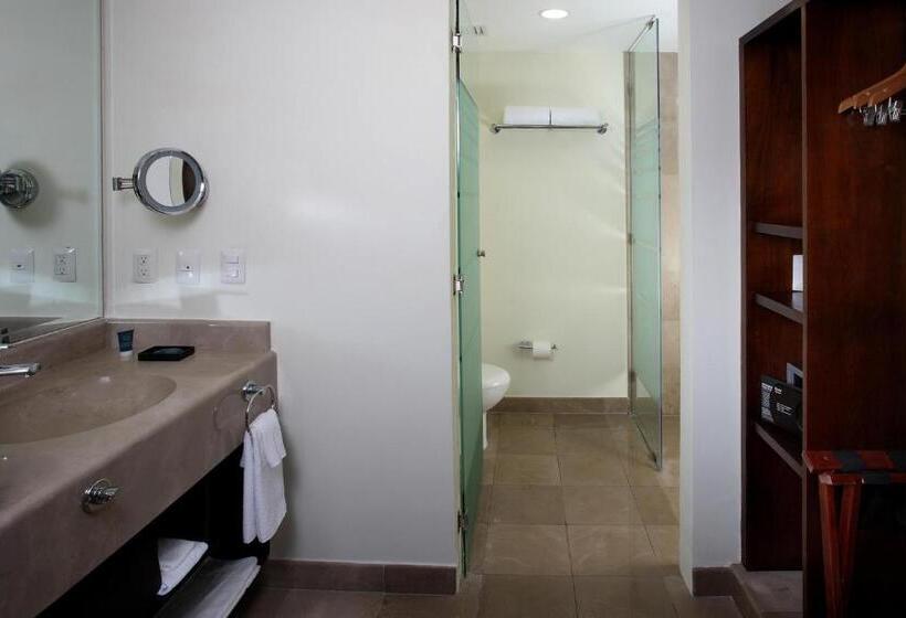 キングサイズベッドのスタンダードルーム, Four Points By Sheraton Veracruz