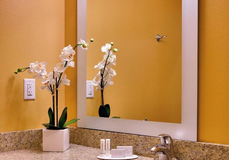 Студио Стандарт Кровать Кинг, Towneplace Suites By Marriott Missoula