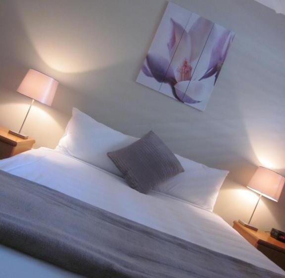 침실 1개 디럭스 아파트, Cosmopolitan Motel & Serviced Apartments