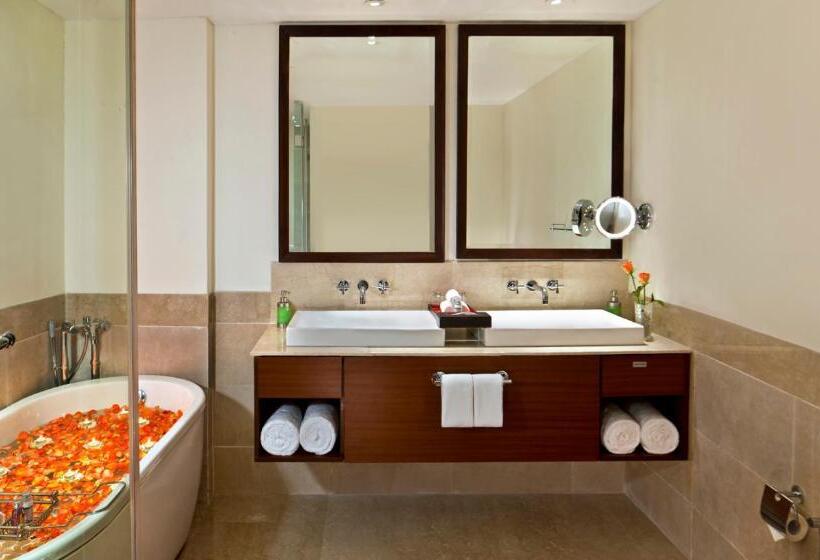 سوییت لوکس, Park Plaza Chandigarh Zirakpur