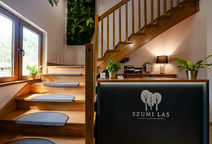 Номер Стандарт, Szumi Las Events & Apartments