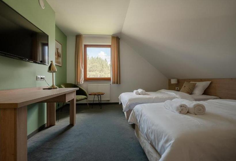 Вилла Superior 1 Спальня, Szumi Las Events & Apartments