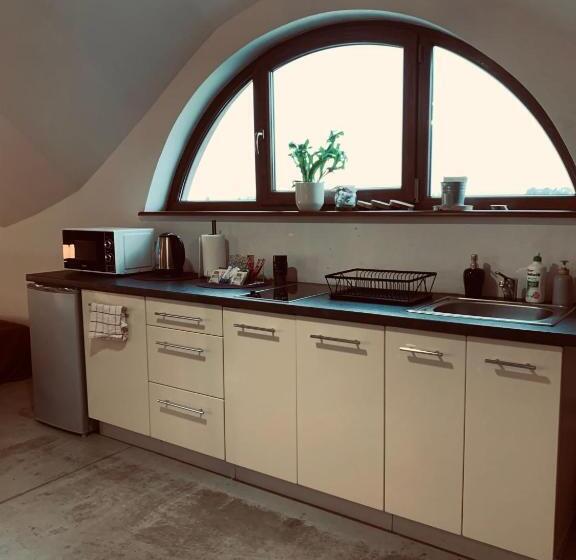 标准工作室, Rusiborek Dom