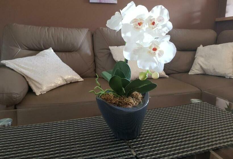 Апартаменты 1 Спальня с Видом, Butorowy Residence Apartament Górska Orchidea