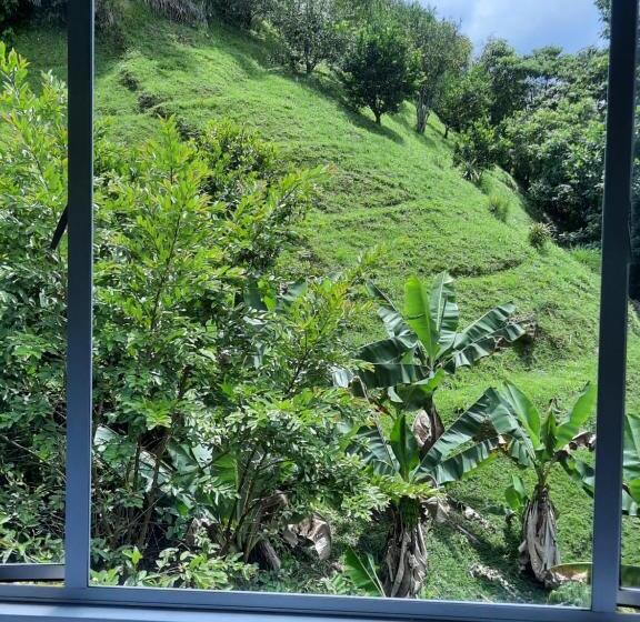 标准间, Finca Pozo Azul