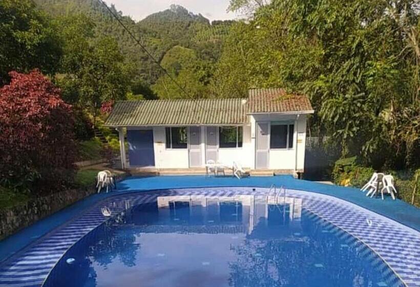 经济四人房间, Finca Pozo Azul