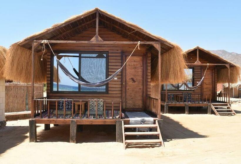 اتاق لوکس با چشم‌انداز دریا, Shanty Beach Camp Suer