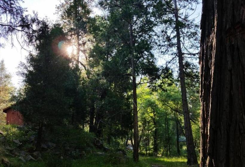 스탠다드 룸, Yosemite Riverside Inn