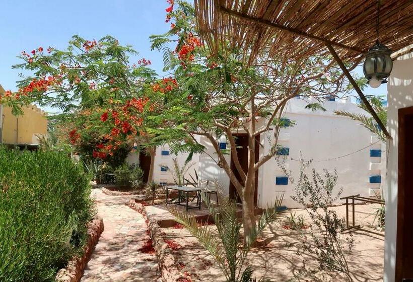اتاق استاندارد, Bedouins Inn Village