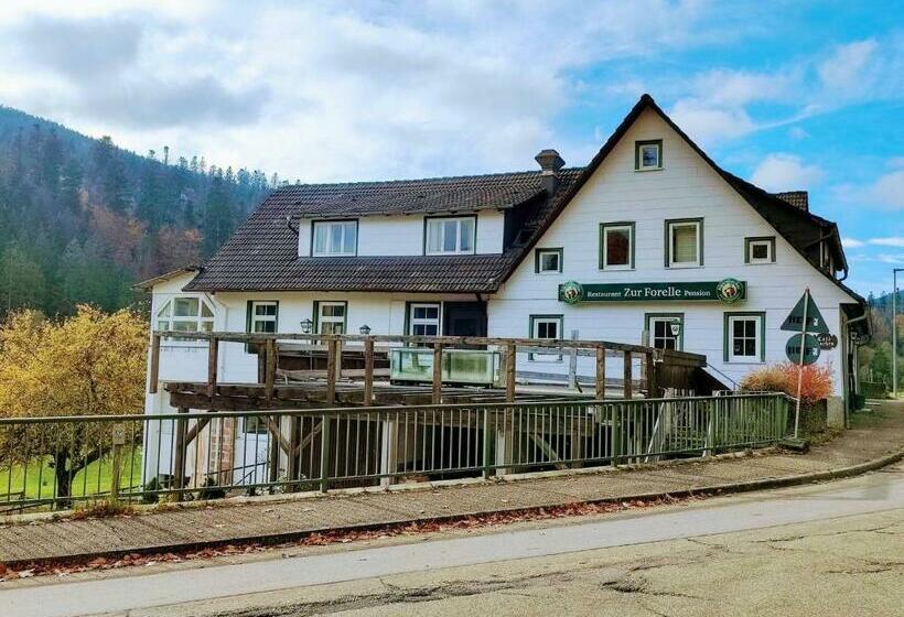 스탠다드 룸, Room In Guest Room  Pension Forelle  Double Room No01