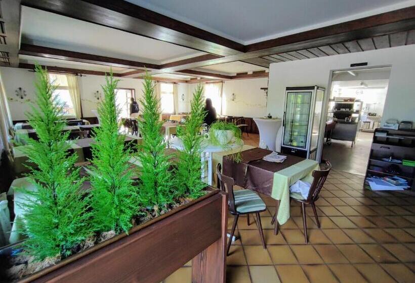 스탠다드 룸, Room In Guest Room  Pension Forelle  Double Room No01
