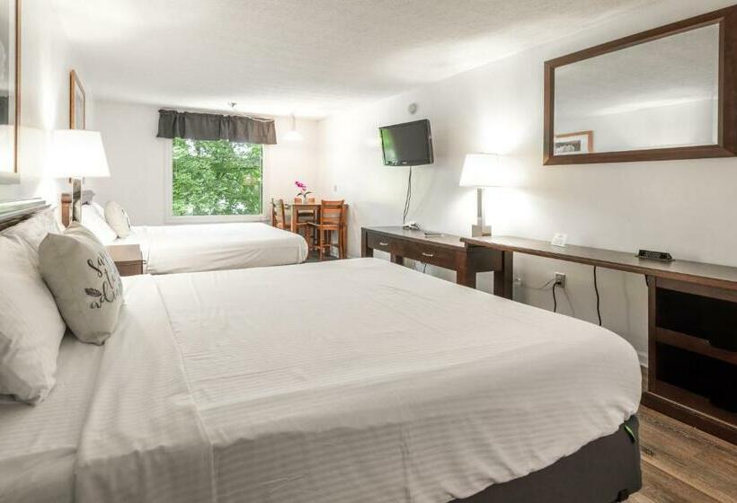 Номер Стандарт, Halesford Harbour Resort   Smith Mountain Lake