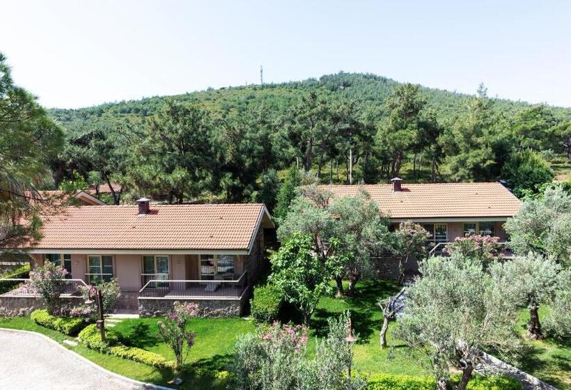 Бунгало Стандарт Вид на Сад, D   Resort Ayvalık
