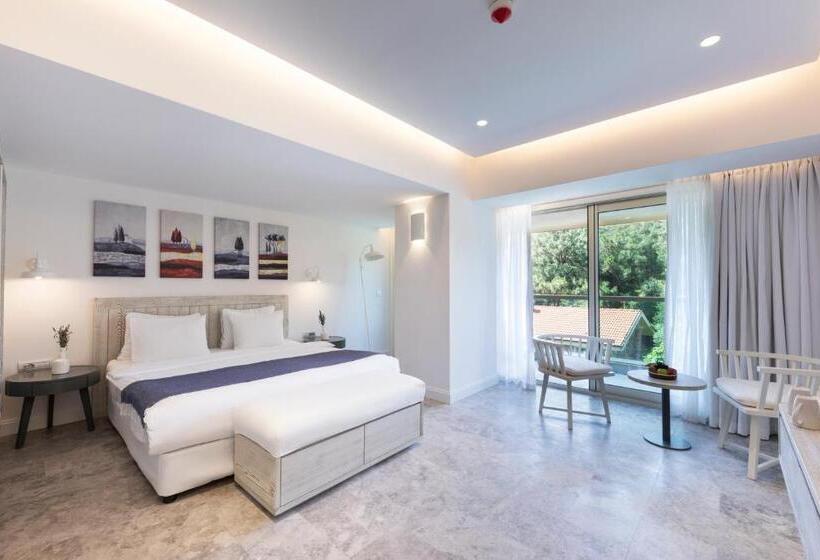 Номер Superior с Видом, D   Resort Ayvalık