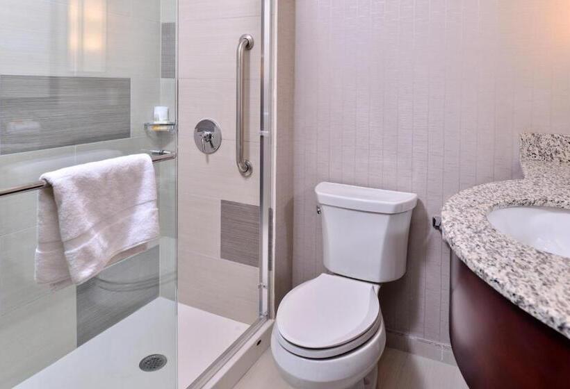 اتاق استاندارد با تخت بزرگ, Holiday Inn New York City   Times Square, An Ihg