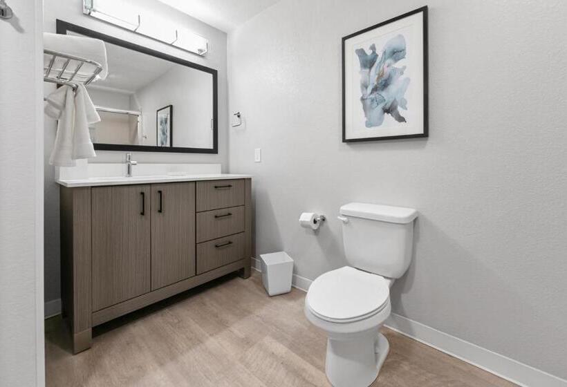 标准工作室, Waterwalk Extended Stay By Wyndham Atlanta Perimeter