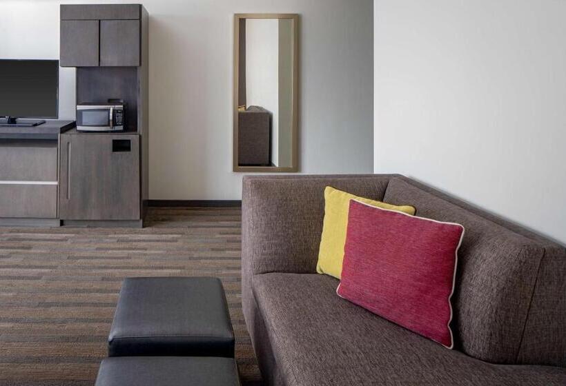 اتاق استاندارد با تخت بزرگ, Hyatt House New Orleans Downtown